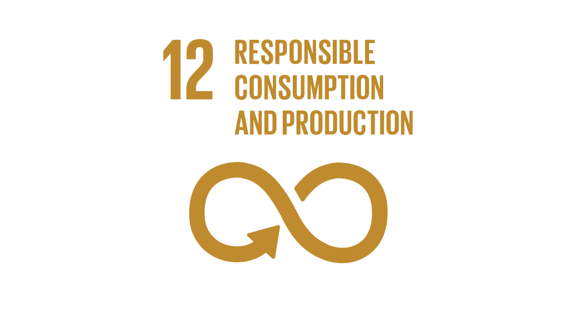 Sdg12 Responsible Consumption And Production Hgf